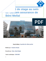 Rapport de Stage Dounia - Docx.2