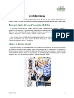 Resumen de Gestión Visual PDF