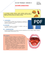 Sistema Digestivo para Segundo Grado de Secundaria