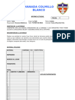 FORMATO DE Informe de Actividades