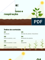 PT Plants - Nutrition, Photosynthesis and Respiration by Slidesgo