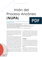 No Union Del Proceso Anconeo NUPA