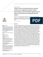 Impact of Duck Stocking Density On Growth Performa