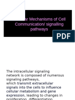 Mechanisms of Cell Signalling (Autosaved)