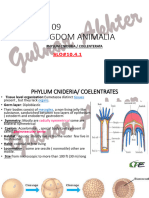 Diversity Among Animals (Cnideria 2)