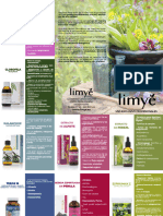 Triptico LIMYE