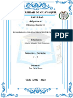 Pasos para La Colocación de Flúor en Barniz