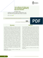 Componente Practico Nacional PDF