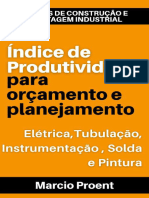 Indice de Produtividade Volume II