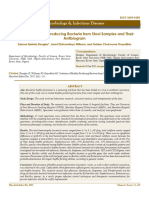 Isolation of Biofilm Producing Bacteria From Stool Samples and Their Antibiogram