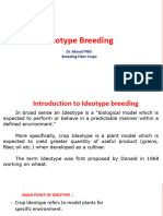 Ideotype Breeding. Monsif. F-24