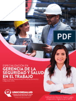 Brochure - Especialización Gerencia de La Seguridad y Salud en El Trabajo