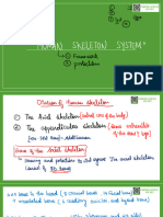 Human Skeleton System