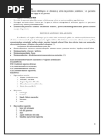 Parte Informe