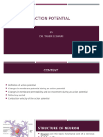 Action Potential