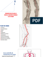 Arteres de L'avant Bras Et La Main Tiaret