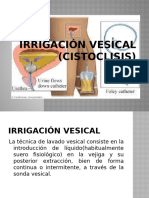 IRRIGACION VESICAL - pptx333