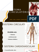 Anatomia Sistema Cardiovascular I - Profa Alexandra