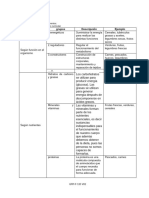 Clasificacion de Los Alimentos CAMILA BARRERA