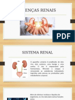 Doenças Renais - Larissa Torres