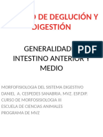 Generalidades Intestino Anterior y Medio