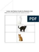 Colour and Pattern Guide For Domestic Cats 1