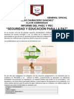 Informe Pec 2024