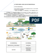 Los Ecosistemas