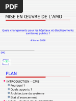 Mise en Œuvre de L'Amo: Quels Changements Pour Les Hôpitaux Et Établissements Sanitaires Publics ?