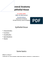 02 - General Anatomy of Epithelial Tissue (Anatomy)