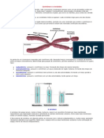 A Carioteca - Trabalho de Biologia