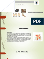 Anatomia y Fisiologia Del Pie y Semiologia