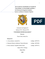 Informe 04 Biopolimeros