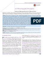 The Pelvic Girdle of Cow Ultrasonographic Description