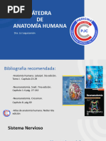 Clase 7 - SISTEMA NERVIOSO CENTRAL Y MEDULA ESPINAL