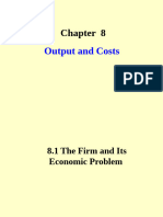 Chapter 08 Output and Costs 20201004