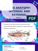 Fish Anatomy