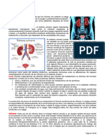 Teoria Sistema Renal