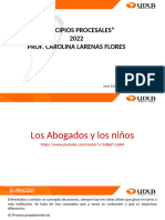 Unidad III Principios Procesales