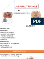 Perineum Anal Triangle