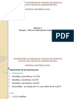 Bloque I. Tema 6.clasificación Bacteriana