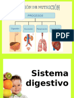 Sistema Digestivo.8°BB.2024