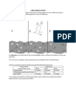 7.2natural Selection Worksheetmultiplequestions