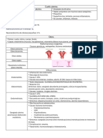 3er Parcial Guía Patología PDF