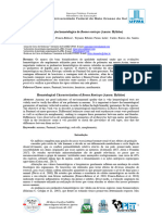 Caracterização Hematológica de Boana Raniceps Anura Hylidae