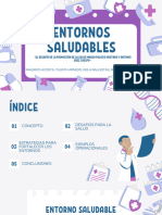 Entorno Saludable - Desafrio de La Promoción de La Salud