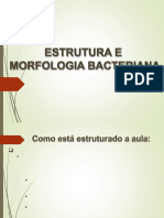 Estrutura e Morfologia Bacteriana