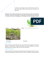 Evolution and Diversity of Woody and Seed Plants 1