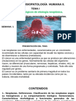 Clase 1 Semana 1 Caracteristicas Generales de Las Neoplasias