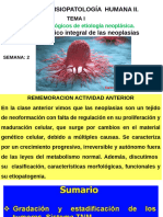 Clase 2 Semana 2 Caracteristicas Generales de Las Neoplasias